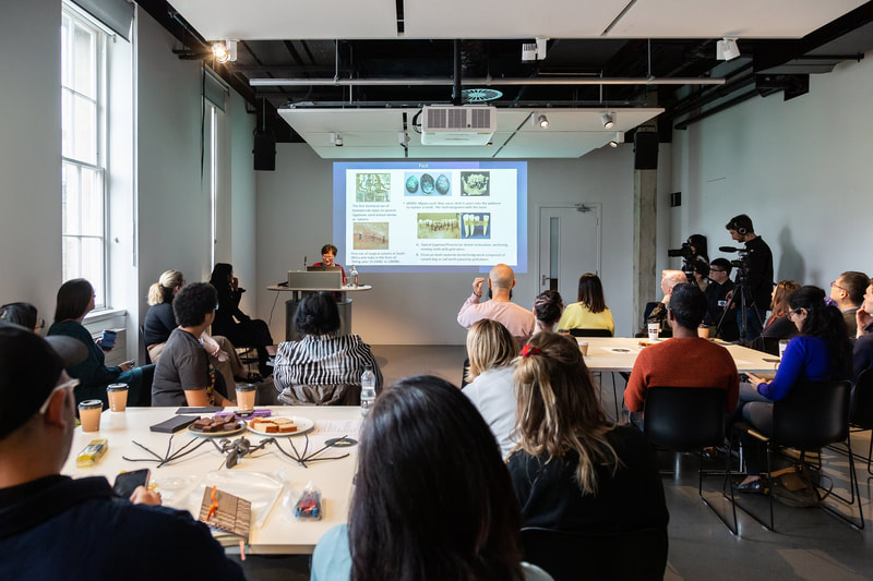 Bat Brunch Lab photo 17